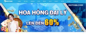 Huong-dan-choi-game-casino-Mobi-Moto88-anh-dai-dien