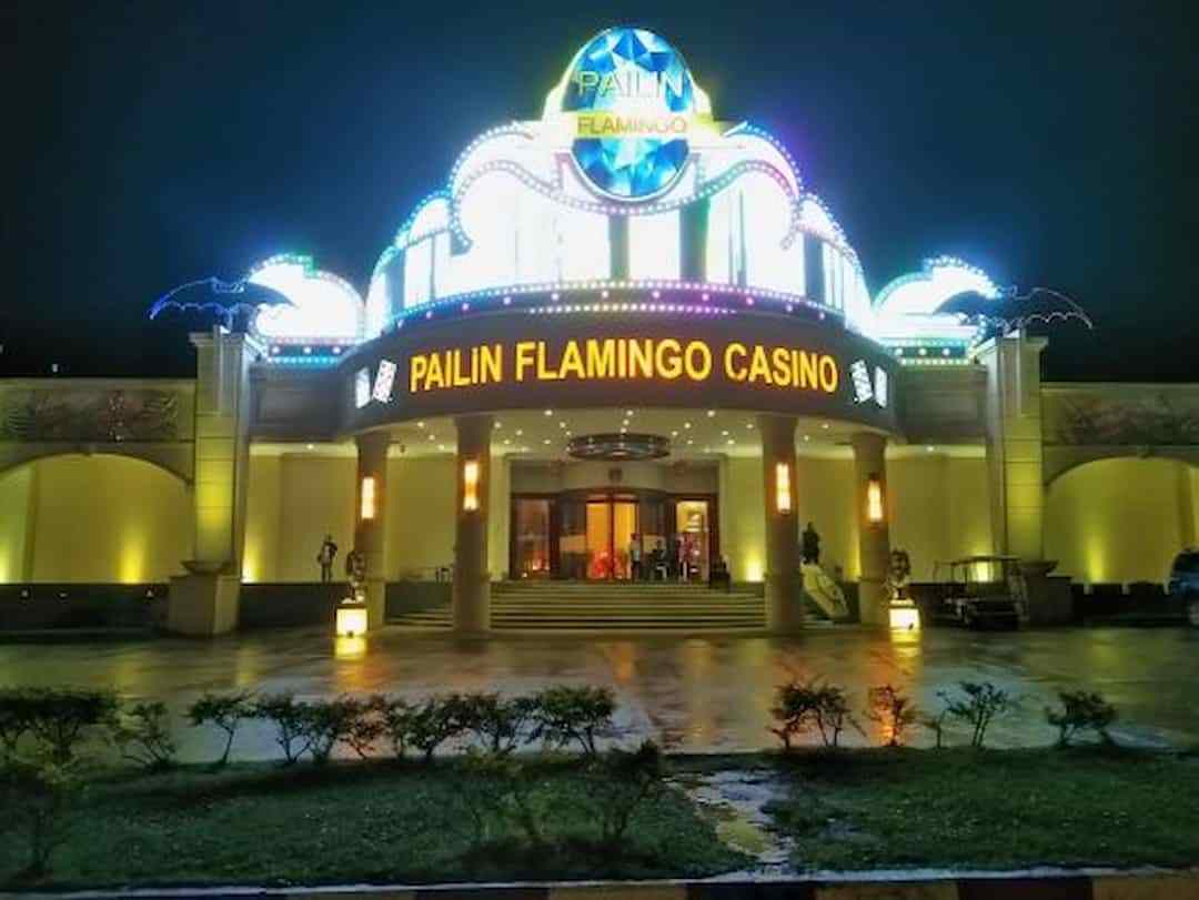 pailin flamingo casino là địa điểm chơi cá cược chuyên nghiệp và uy tín
